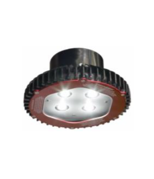 LAMPARA 14W 100/277VAC, 127-250VDC (13255571)