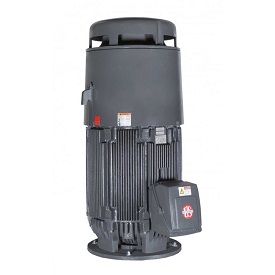 MOTOR ELEC. TRIF 40HP 1800RPM 324TP NEMA PREMIUM MONTAJE VERTICAL (HT40P2BLG)