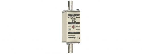 [NH000GG69V32] FUSIBLE NH TAM 000-35 AMP 690VAC (P228449)