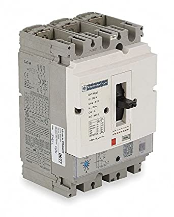 DISYUNTOR MOTOR 25-40 85/25KA 220/440V