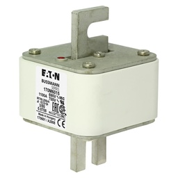 FUSIBLE 700 AMP 690V  ULTRARAPIDO